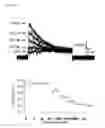Fig. 17 - Kv1.3 potassium channel antagonists