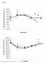 Fig. 27 - Kv1.3 potassium channel antagonists