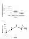 Fig. 31 - Kv1.3 potassium channel antagonists