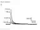 Fig. 41 - Kv1.3 potassium channel antagonists