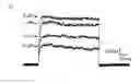 Fig. 43 - Kv1.3 potassium channel antagonists