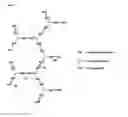 Fig. 02 - Antimicrobial peptide dendrimers