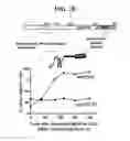 Fig. 04 - Mps1 and KNL1 phosphorylation system