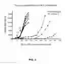 Fig. 06 - Methods for cancer therapy using mutant light molecules with increased affinity to receptors