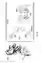 Fig. 23 - Methods for cancer therapy using mutant light molecules with increased affinity to receptors