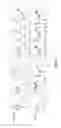 Fig. 27 - Methods for cancer therapy using mutant light molecules with increased affinity to receptors