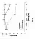Fig. 35 - Methods for cancer therapy using mutant light molecules with increased affinity to receptors