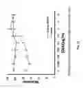 Fig. 36 - Methods for cancer therapy using mutant light molecules with increased affinity to receptors