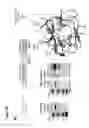 Fig. 16 - PEPTIDES, AND METHODS AND APPARATUS UTILISING SAME
