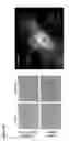 Fig. 19 - PEPTIDES, AND METHODS AND APPARATUS UTILISING SAME