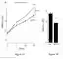 Fig. 02 - Protease-activated receptor-2 modulators