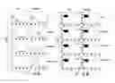 Fig. 07 - Compositions and methods for rendering tumor cells susceptible to CD8+ T cell-mediated killing
