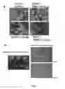 Fig. 02 - TIMP3 AS VEGF INHIBITOR