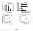Fig. 03 - TIMP3 AS VEGF INHIBITOR