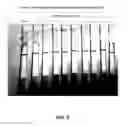Fig. 04 - Anti-bed bug monoclonal antibodies and methods of making and uses thereof