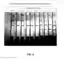Fig. 05 - Anti-bed bug monoclonal antibodies and methods of making and uses thereof