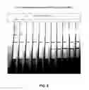 Fig. 06 - Anti-bed bug monoclonal antibodies and methods of making and uses thereof