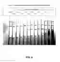 Fig. 07 - Anti-bed bug monoclonal antibodies and methods of making and uses thereof