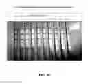 Fig. 11 - Anti-bed bug monoclonal antibodies and methods of making and uses thereof