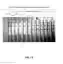 Fig. 12 - Anti-bed bug monoclonal antibodies and methods of making and uses thereof
