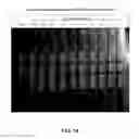 Fig. 15 - Anti-bed bug monoclonal antibodies and methods of making and uses thereof