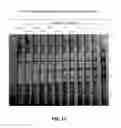 Fig. 18 - Anti-bed bug monoclonal antibodies and methods of making and uses thereof