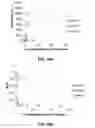Fig. 19 - Anti-bed bug monoclonal antibodies and methods of making and uses thereof