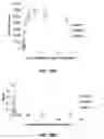 Fig. 20 - Anti-bed bug monoclonal antibodies and methods of making and uses thereof