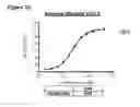 Fig. 48 - Methods of preventing inflammation and treating pain using anti-NGF compositions