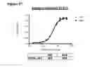 Fig. 49 - Methods of preventing inflammation and treating pain using anti-NGF compositions