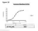 Fig. 50 - Methods of preventing inflammation and treating pain using anti-NGF compositions