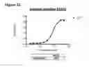 Fig. 54 - Methods of preventing inflammation and treating pain using anti-NGF compositions
