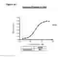 Fig. 62 - Methods of preventing inflammation and treating pain using anti-NGF compositions