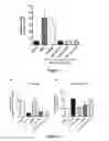 Fig. 05 - Antibodies to IL-15
