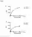 Fig. 06 - KV1.3 binding immunoglobulins