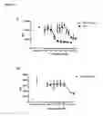 Fig. 15 - KV1.3 binding immunoglobulins