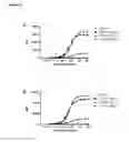 Fig. 17 - KV1.3 binding immunoglobulins