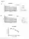 Fig. 24 - KV1.3 binding immunoglobulins