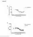 Fig. 31 - KV1.3 binding immunoglobulins