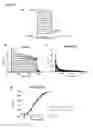 Fig. 41 - KV1.3 binding immunoglobulins