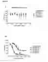 Fig. 48 - KV1.3 binding immunoglobulins