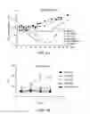 Fig. 11 - METHODS AND COMPOSITIONS FOR BI-SPECIFIC TARGETING OF CD19/CD22