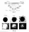 Fig. 02 - Car based immunotherapy