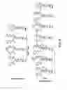 Fig. 10 - PD1 and/or LAG3 binders