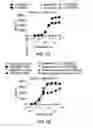 Fig. 13 - PD1 and/or LAG3 binders