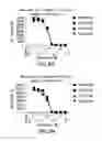 Fig. 18 - PD1 and/or LAG3 binders