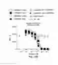 Fig. 20 - PD1 and/or LAG3 binders