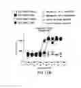 Fig. 25 - PD1 and/or LAG3 binders