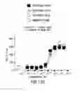 Fig. 26 - PD1 and/or LAG3 binders