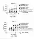 Fig. 30 - PD1 and/or LAG3 binders